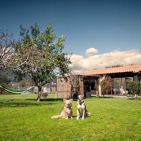 Casa Barros Villa Tui Exterior photo